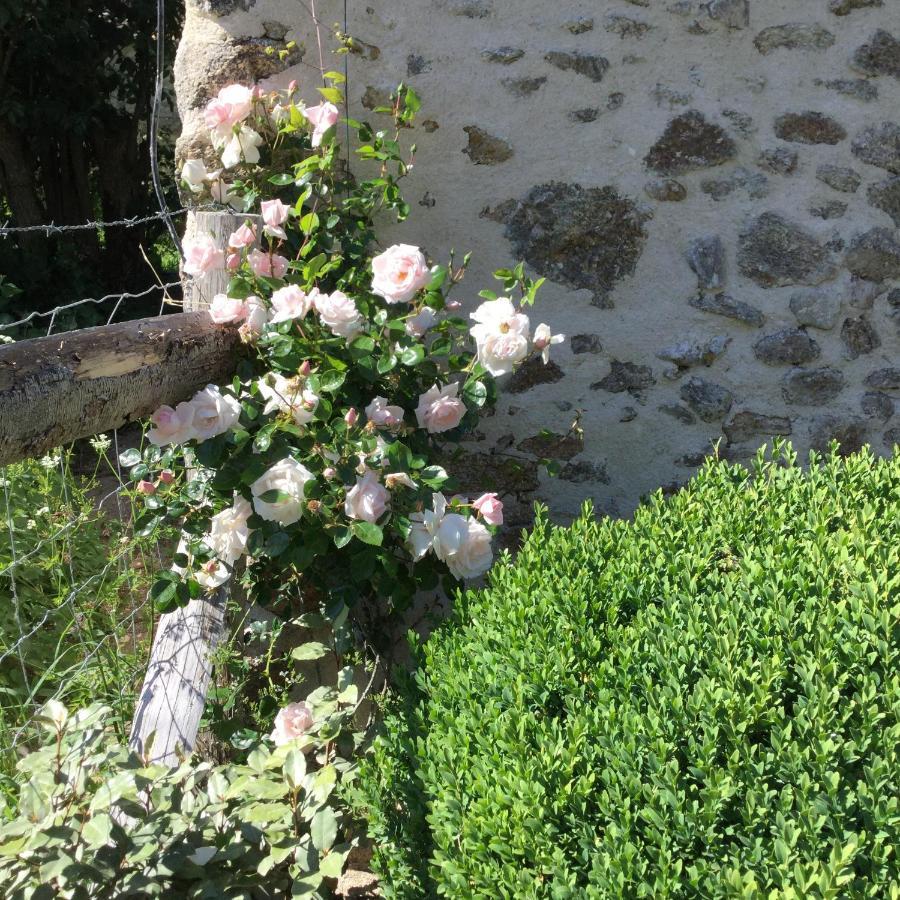 Les Epis Du Vent Bed & Breakfast Adilly Bagian luar foto