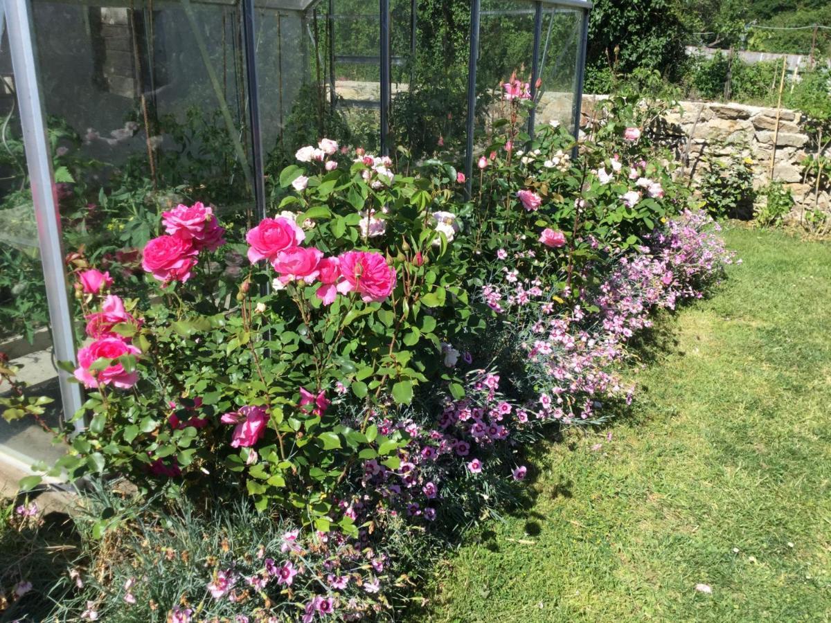 Les Epis Du Vent Bed & Breakfast Adilly Bagian luar foto